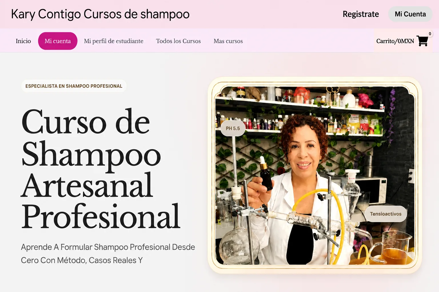 Kary Contigo, escuela digital de cursos de shampoo profesional con módulos, clases por Zoom y pagos en línea